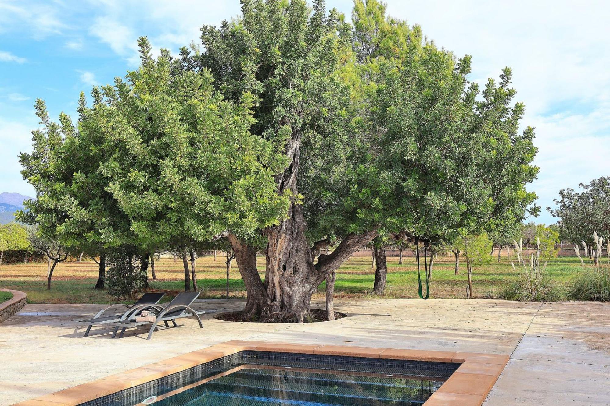 151 Villa Es Triquet Et3366 By Mallorca Charme Binissalem Exterior foto
